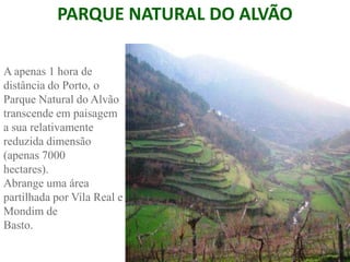 PARQUE NATURAL DO ALVÃO

A apenas 1 hora de
distância do Porto, o
Parque Natural do Alvão
transcende em paisagem
a sua relativamente
reduzida dimensão
(apenas 7000
hectares).
Abrange uma área
partilhada por Vila Real e
Mondim de
Basto.

                                     _____________________
                                     © Mariana Carvalho, 2011
 