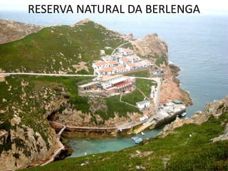 RESERVA NATURAL DA BERLENGA




                          _____________________
                          © Mariana Carvalho, 2011
 