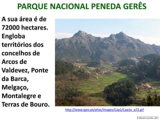 PARQUE NACIONAL PENEDA GERÊS
A sua área é de
72000 hectares.
Engloba
territórios dos
concelhos de
Arcos de
Valdevez, Ponte
da Barca,
Melgaço,
Montalegre e
Terras de Bouro.
                   http://www.igeo.pt/atlas/Images/Cap1/Cap1e_p72.gif
                                                                ______________________
                                                                © Mariana Carvalho, 2011
 