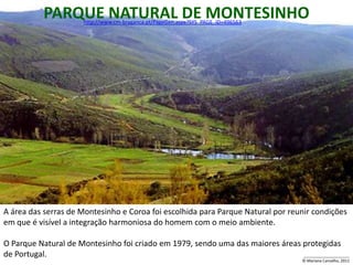 PARQUE NATURAL DE MONTESINHO
                       http://www.cm-braganca.pt/PageGen.aspx?SYS_PAGE_ID=496563




A área das serras de Montesinho e Coroa foi escolhida para Parque Natural por reunir condições
em que é visível a integração harmoniosa do homem com o meio ambiente.

O Parque Natural de Montesinho foi criado em 1979, sendo uma das maiores áreas protegidas
de Portugal.                                                                   _____________________
                                                                                      © Mariana Carvalho, 2011
 