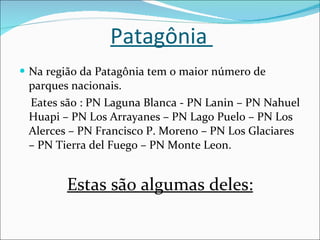 Patag ô nia  Na região da Patagônia tem o maior número de parques nacionais. Eates  são :  PN Laguna Blanca - PN Lanin – PN Nahuel Huapi – PN Los Arrayanes – PN Lago Puelo – PN Los Alerces – PN Francisco P. Moreno – PN Los Glaciares – PN Tierra del Fuego – PN Monte Leon.  Estas são algumas deles: 