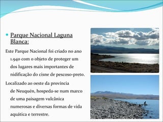 Parque Nacional Laguna Blanca: Este Parque Nacional foi criado no ano 1.940 com o objeto de proteger um dos lugares mais importantes de nidificação do cisne de pescoso-preto. Localizado ao oeste da província de Neuquén, hospeda-se num marco de uma paisagem vulcânica numerosas e diversas formas de vida aquática e terrestre. 