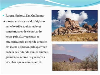 Parque Nacional San Guillermo: A mostra mais austral do altiplano puneño exibe aquí as maiores concentracoes de vicunhas do nosso país.  Sua vegetação se caracteriza pela estepe de arbustos em matas dispersas, pelo que voce poderá desfrutar de muitos animais grandes, tais como os guanacos e vicunhas que se alimentam ai. 