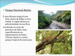 Parque Nacional Baritú: E uma floresta tropical com forte cheiro de folhas e terra úmida. A região destaca-se pela densidade da sua flora. Localizado no norte da província de Salta, mais especificamente no departamento de Santa Vittoria, Baritú é o único parque tropical do nosso país.   