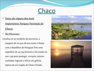 Chaco Estes são  alguns dos mais importantes Parques Pacionais de Chaco: Rio Pilcomayo: Localiza-se no nordeste da província, a margem do rio que dá seu nome e limita com a República de Paraguai.Tem uma superfície de 47.754 hectares e foi criado no ano 1.951 para proteger  ervaçais, esteros, canhadas, lagouas e selvas em galeria, típicos da eco-região de Chaco Úmido. 