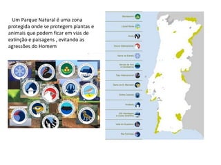 Um Parque Natural é uma zona protegida onde se protegem plantas e animais que podem ficar em vias de extinção e paisagens , evitando as agressões do Homem 