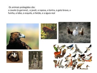 Os animais protegidos são:  o cavalo (o garrano) , o javali, a raposa, a lontra, o gato bravo, a fuinha, o lobo, o esquilo, o falcão, e a águia real 