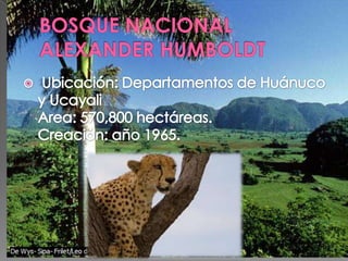PARQUES ,RESEVAS Y SANTUARIOS NACIONALES.pptx