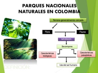 DEFINICIÓN:
Terreno generalmente cercado
Flora Fauna
NATURALEZA
Secompone
Características
biológicas
Características
paisajísticas
Usodel ser humano
PARQUES NACIONALES
NATURALES EN COLOMBIA
 