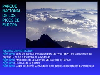 FIGURAS DE PROTECCIÓN: AÑO 1998:  Zona de Especial Protección para las Aves (ZEPA) de la superficie del antiguo P. N. de la Montaña de Covadonga AÑO 2003:  Ampliación de la superficie ZEPA a todo el Parque AÑO 2003 : Reserva de la Biosfera AÑO 2004:  Lugar de Interés Comunitario de la Región Biogeográfica Eurosiberiana PARQUE NACIONAL DE LOS PICOS DE EUROPA  