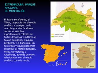 EXTREMADURA: PARQUE NACIONAL  DE  MONFRAGÜE El Tajo y su afluente, el Tiétar, proporcionan el medio acuático y esculpen en la cuarcita grandes farallones donde se asientan espectaculares colonias de buitres leonados y nidifican el halcón peregrino, el águila perdicera, y el búho real. En sus orillas y cauces podemos encontrar al martín pescador, mitos, cormoranes y ruiseñores, además de otros relacionados con el medio acuático como la nutria. 