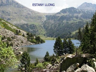 ESTANY LLONG  