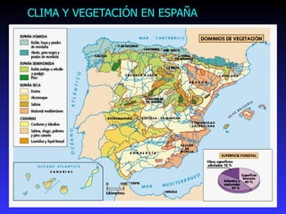 CLIMA Y VEGETACIÓN EN ESPAÑA 
