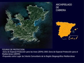 FIGURAS DE PROTECCIÓN: Zona de Especial Protección para las Aves (ZEPA) 2003 Zona de Especial Protección para el Mediterráneo (ZEPIM) Propuesto como Lugar de Interés Comunitario de la Región Biogeográfica Mediterránea ARCHIPIELAGO  DE  CABRERA 