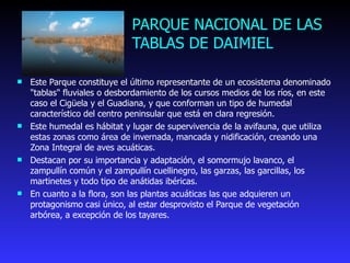 PARQUE NACIONAL DE LAS TABLAS DE DAIMIEL Este Parque constituye el último representante de un ecosistema denominado "tablas" fluviales o desbordamiento de los cursos medios de los ríos, en este caso el Cigüela y el Guadiana, y que conforman un tipo de humedal característico del centro peninsular que está en clara regresión.  Este humedal es hábitat y lugar de supervivencia de la avifauna, que utiliza estas zonas como área de invernada, mancada y nidificación, creando una Zona Integral de aves acuáticas.  Destacan por su importancia y adaptación, el somormujo lavanco, el zampullín común y el zampullín cuellinegro, las garzas, las garcillas, los martinetes y todo tipo de anátidas ibéricas.  En cuanto a la flora, son las plantas acuáticas las que adquieren un protagonismo casi único, al estar desprovisto el Parque de vegetación arbórea, a excepción de los tayares. 