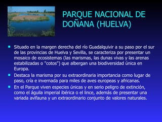 PARQUE NACIONAL DE  DOÑANA  (HUELVA) Situado en la margen derecha del río Guadalquivir a su paso por el sur de las provincias de Huelva y Sevilla, se caracteriza por presentar un mosaico de ecosistemas (las marismas, las dunas vivas y las arenas estabilizadas o "cotos") que albergan una biodiversidad única en Europa.  Destaca la marisma por su extraordinaria importancia como lugar de paso, cría e invernada para miles de aves europeas y africanas.  En el Parque viven especies únicas y en serio peligro de extinción, como el águila imperial ibérica o el lince, además de presentar una variada avifauna y un extraordinario conjunto de valores naturales. 
