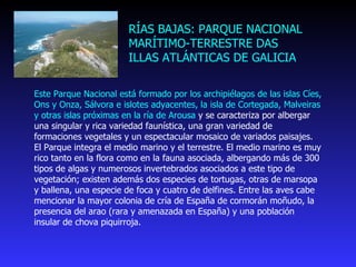 Este Parque Nacional está formado por los archipiélagos de las islas Cíes, Ons y Onza, Sálvora e islotes adyacentes, la isla de Cortegada, Malveiras y otras islas próximas en la ría de Arousa  y se caracteriza por albergar una singular y rica variedad faunística, una gran variedad de formaciones vegetales y un espectacular mosaico de variados paisajes. El Parque integra el medio marino y el terrestre. El medio marino es muy rico tanto en la flora como en la fauna asociada, albergando más de 300 tipos de algas y numerosos invertebrados asociados a este tipo de vegetación; existen además dos especies de tortugas, otras de marsopa y ballena, una especie de foca y cuatro de delfines. Entre las aves cabe mencionar la mayor colonia de cría de España de cormorán moñudo, la presencia del arao (rara y amenazada en España) y una población insular de chova piquirroja. RÍAS BAJAS: PARQUE NACIONAL  MARÍTIMO-TERRESTRE DAS  ILLAS ATLÁNTICAS DE GALICIA 