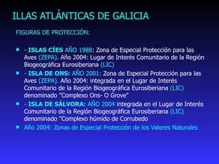 ILLAS ATLÁNTICAS DE GALICIA FIGURAS DE PROTECCIÓN: -  ISLAS CÍES  AÑO 1988 : Zona de Especial Protección para las Aves  (ZEPA).  Año 2004: Lugar de Interés Comunitario de la Región Biogeográfica Eurosiberiana  (LIC) -  ISLA DE ONS:  AÑO 2001:  Zona de Especial Protección para las Aves  (ZEPA).  Año 2004: integrada en el Lugar de Interés Comunitario de la Región Biogeográfica Eurosiberiana  (LIC)  denominado "Complexo Ons- O Grove"  -  ISLA DE SÁLVORA:  AÑO 2004  integrada en el Lugar de Interés Comunitario de la Región Biogeográfica Eurosiberiana  (LIC)  denominado "Complexo húmido de Corrubedo  Año 2004: Zonas de Especial Protección de los Valores Naturales 