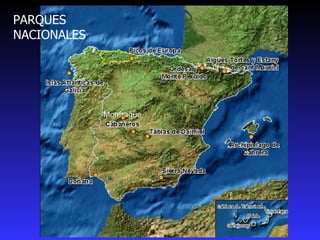 Monfragüe PARQUES NACIONALES 