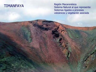 Región Macaronésica Sistema Natural al que representa: Sistemas ligados a procesos volcánicos y vegetación asociada TIMANFAYA 