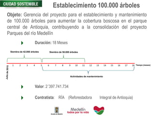 Establecimiento 100.000 árboles
Objeto: Gerencia del proyecto para el establecimiento y mantenimiento
de 100.000 árboles para aumentar la cobertura boscosa en el parque
central de Antioquia, contribuyendo a la consolidación del proyecto
Parques del río Medellín
Duración: 18 Meses
Valor: 2´397.741.734
Contratista: RÍA (Reforestadora Integral de Antioquia)
Tiempo (meses)1 2 3 4 5 6 7 8 9 10 11 12 13 14 15 16 17 18
Siembra de 42.000 árboles Siembra de 58.000 árboles
Actividades de mantenimiento
 