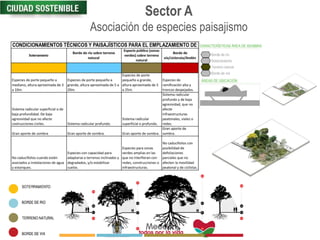 Sector A
Asociación de especies paisajismo
 