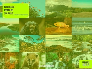 Parques do estado de são paulo 01.10
