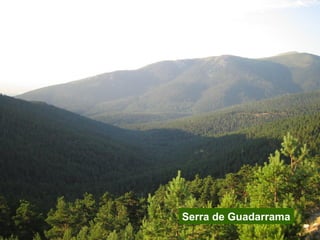 Parques nacionais de España