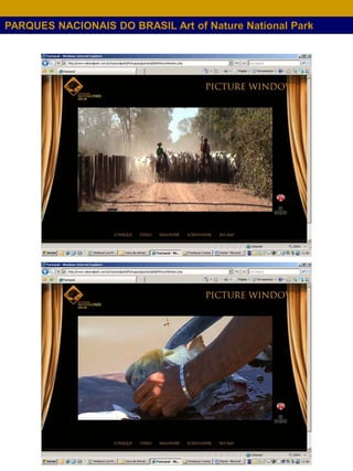 PARQUES NACIONAIS DO BRASIL Art of Nature National Park
 