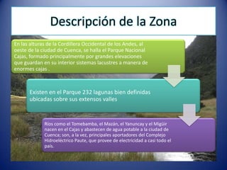 Descripción de la Zona