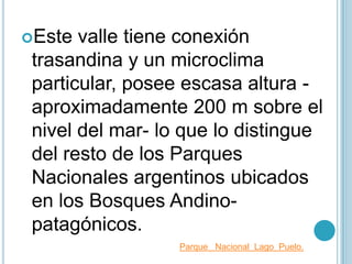 Este  valle tiene conexión
 trasandina y un microclima
 particular, posee escasa altura -
 aproximadamente 200 m sobre el
 nivel del mar- lo que lo distingue
 del resto de los Parques
 Nacionales argentinos ubicados
 en los Bosques Andino-
 patagónicos.
                  Parque Nacional Lago Puelo.
 