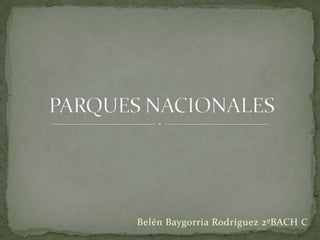 Belén Baygorria Rodríguez 2ºBACH C

 