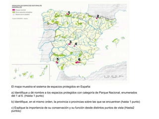 El mapa muestra el sistema de espacios protegidos en España:
a) Identifique y dé nombre a los espacios protegidos con categoría de Parque Nacional, enumerados
del 1 al 6. (Hasta 1 punto)
b) Identifique, en el mismo orden, la provincia o provincias sobre las que se encuentran (hasta 1 punto)
c) Explique la importancia de su conservación y su función desde distintos puntos de vista (Hasta2
puntos):

 