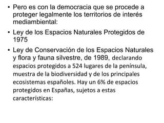 ●

●

●

Pero es con la democracia que se procede a
proteger legalmente los territorios de interés
mediambiental:
Ley de los Espacios Naturales Protegidos de
1975
Ley de Conservación de los Espacios Naturales
y flora y fauna silvestre, de 1989, declarando
espacios protegidos a 524 lugares de la península,
muestra de la biodiversidad y de los principales
ecosistemas españoles. Hay un 6% de espacios
protegidos en Españas, sujetos a estas
características:

 