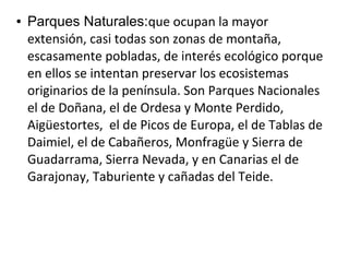 ●

Parques Naturales:que ocupan la mayor
extensión, casi todas son zonas de montaña,
escasamente pobladas, de interés ecológico porque
en ellos se intentan preservar los ecosistemas
originarios de la península. Son Parques Nacionales
el de Doñana, el de Ordesa y Monte Perdido,
Aigüestortes, el de Picos de Europa, el de Tablas de
Daimiel, el de Cabañeros, Monfragüe y Sierra de
Guadarrama, Sierra Nevada, y en Canarias el de
Garajonay, Taburiente y cañadas del Teide.

 