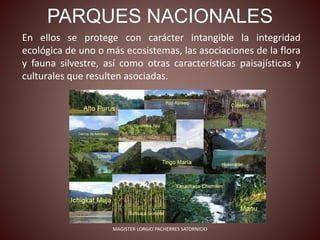 PARQUES NACIONALES
En ellos se protege con carácter intangible la integridad
ecológica de uno o más ecosistemas, las asociaciones de la flora
y fauna silvestre, así como otras características paisajísticas y
culturales que resulten asociadas.
MAGISTER LORGIO PACHERRES SATORNICIO
 