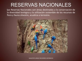 RESERVAS NACIONALES
Las Reservas Nacionales son áreas destinadas a la conservación de
la diversidad biológica y la utilización sostenible de los recursos de
flora y fauna silvestre, acuática o terrestre.
MAGISTER LORGIO PACHERRES SATORNICIO
 