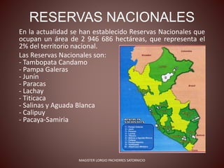 RESERVAS NACIONALES
En la actualidad se han establecido Reservas Nacionales que
ocupan un área de 2 946 686 hectáreas, que representa el
2% del territorio nacional.
Las Reservas Nacionales son:
- Tambopata Candamo
- Pampa Galeras
- Junín
- Paracas
- Lachay
- Titicaca
- Salinas y Aguada Blanca
- Calipuy
- Pacaya-Samiria
MAGISTER LORGIO PACHERRES SATORNICIO
 