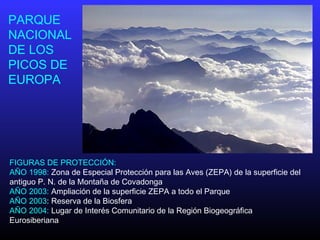 FIGURAS DE PROTECCIÓN:
AÑO 1998: Zona de Especial Protección para las Aves (ZEPA) de la superficie del
antiguo P. N. de la Montaña de Covadonga
AÑO 2003: Ampliación de la superficie ZEPA a todo el Parque
AÑO 2003: Reserva de la Biosfera
AÑO 2004: Lugar de Interés Comunitario de la Región Biogeográfica
Eurosiberiana
PARQUE
NACIONAL
DE LOS
PICOS DE
EUROPA
 