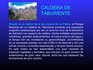 CALDERA DE
TABURIENTE
Situado en el interior de la isla canaria de La Palma, el Parque
Nacional de La Caldera de Taburiente presenta una escarpada
orografía caracterizada por ser un enorme circo de 8 kilómetros
de diámetro con aspecto de caldera, donde múltiples erupciones
volcánicas, grandes deslizamientos, la fuerza erosiva del agua y
el tiempo han ido modelando su geomorfología, convirtiéndola
en un escarpado paisaje con casi 2.000 m de desnivel y con una
red de arroyos y torrentes espectacular y de gran fuerza erosiva.
En este medio se han desarrollado una gran variedad de
especies vegetales y animales, que incluyen un gran número de
endemismos de gran valor natural, entre las que destacan las
formaciones de pino canario.
 