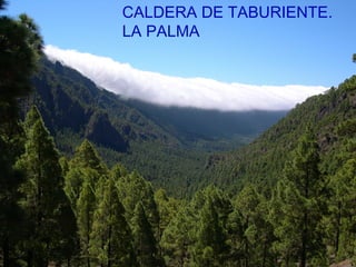 CALDERA DE TABURIENTE.
LA PALMA
 