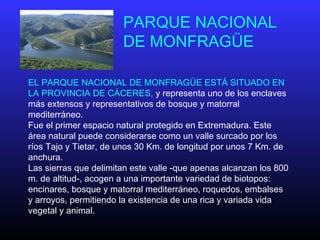 PARQUE NACIONAL
DE MONFRAGÜE
EL PARQUE NACIONAL DE MONFRAGÜE ESTÁ SITUADO EN
LA PROVINCIA DE CÁCERES, y representa uno de los enclaves
más extensos y representativos de bosque y matorral
mediterráneo.
Fue el primer espacio natural protegido en Extremadura. Este
área natural puede considerarse como un valle surcado por los
ríos Tajo y Tietar, de unos 30 Km. de longitud por unos 7 Km. de
anchura.
Las sierras que delimitan este valle -que apenas alcanzan los 800
m. de altitud-, acogen a una importante variedad de biotopos:
encinares, bosque y matorral mediterráneo, roquedos, embalses
y arroyos, permitiendo la existencia de una rica y variada vida
vegetal y animal.
 
