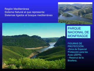 Región Mediterránea
Sistema Natural al que representa:
Sistemas ligados al bosque mediterráneo
PARQUE
NACIONAL DE
MONFRAGÜE
FIGURAS DE
PROTECCIÓN:
-Zona de Especial
Protección para las
Aves (ZEPA)
- Reserva de la
Biosfera.
 