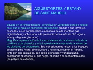 AIGÜESTORTES Y ESTANY
DE SANT MAURICI
Situado en el Pirineo leridano, constituye un verdadero paraíso naturalSituado en el Pirineo leridano, constituye un verdadero paraíso natural
en el que el agua es el principal protagonistaen el que el agua es el principal protagonista gracias a sus torrentes,
cascadas, a sus característicos meandros de alta montaña (las
aigüestortes) y sobre todo, a la presencia de los más de 300 lagos y
estanys (lagunas glaciares).
Magnífica representación de los ecosistemas de la alta montaña de laMagnífica representación de los ecosistemas de la alta montaña de la
cordillera axial pirenaica y una impresionante muestra de la acción decordillera axial pirenaica y una impresionante muestra de la acción de
los glaciares del cuaternario.los glaciares del cuaternario. Sus impresionantes riscos, y los bosques
de abeto, pino negro, pino silvestre y hayas que cubren el Parque,
junto con sus pastizales, dan cobijo a una rica y variada fauna,
destacando el urogallo, el pito negro, el sarrio o el quebrantahuesos
(en peligro de extinción).
 