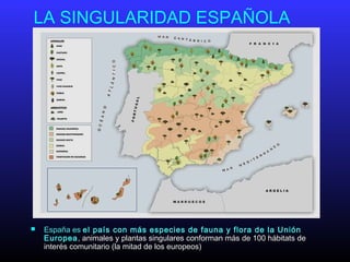LA SINGULARIDAD ESPAÑOLA
 España esEspaña es el país con más especies de fauna y flora de la Uniónel país con más especies de fauna y flora de la Unión
EuropeaEuropea, animales y plantas singulares conforman más de 100 hábitats de, animales y plantas singulares conforman más de 100 hábitats de
interés comunitario (la mitad de los europeos)interés comunitario (la mitad de los europeos)
 