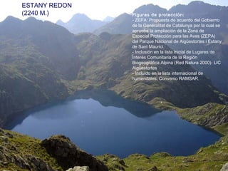 ESTANY REDON
(2240 M.) Figuras de protección:
- ZEPA: Propuesta de acuerdo del Gobierno
de la Generalitat de Catalunya por la cual se
aprueba la ampliación de la Zona de
Especial Protección para las Aves (ZEPA)
del Parque Nacional de Aigüestortes i Estany
de Sant Maurici.
- Inclusión en la lista inicial de Lugares de
Interés Comunitaria de la Región
Biogeográfica Alpina (Red Natura 2000)- LIC
Aigüestortes
- Incluido en la lista internacional de
humendales, Convenio RAMSAR.
 