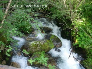 VALL DE SANT MAURICI
 