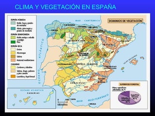 CLIMA Y VEGETACIÓN EN ESPAÑA
 