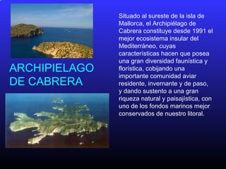 ARCHIPIELAGO
DE CABRERA
Situado al sureste de la isla de
Mallorca, el Archipiélago de
Cabrera constituye desde 1991 el
mejor ecosistema insular del
Mediterráneo, cuyas
características hacen que posea
una gran diversidad faunística y
florística, cobijando una
importante comunidad aviar
residente, invernante y de paso,
y dando sustento a una gran
riqueza natural y paisajística, con
uno de los fondos marinos mejor
conservados de nuestro litoral.
 