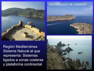Región Mediterránea
Sistema Natural al que
representa: Sistemas
ligados a zonas costeras
y plataforma continental
ARCHIPIELAGO DE CABRERA
 